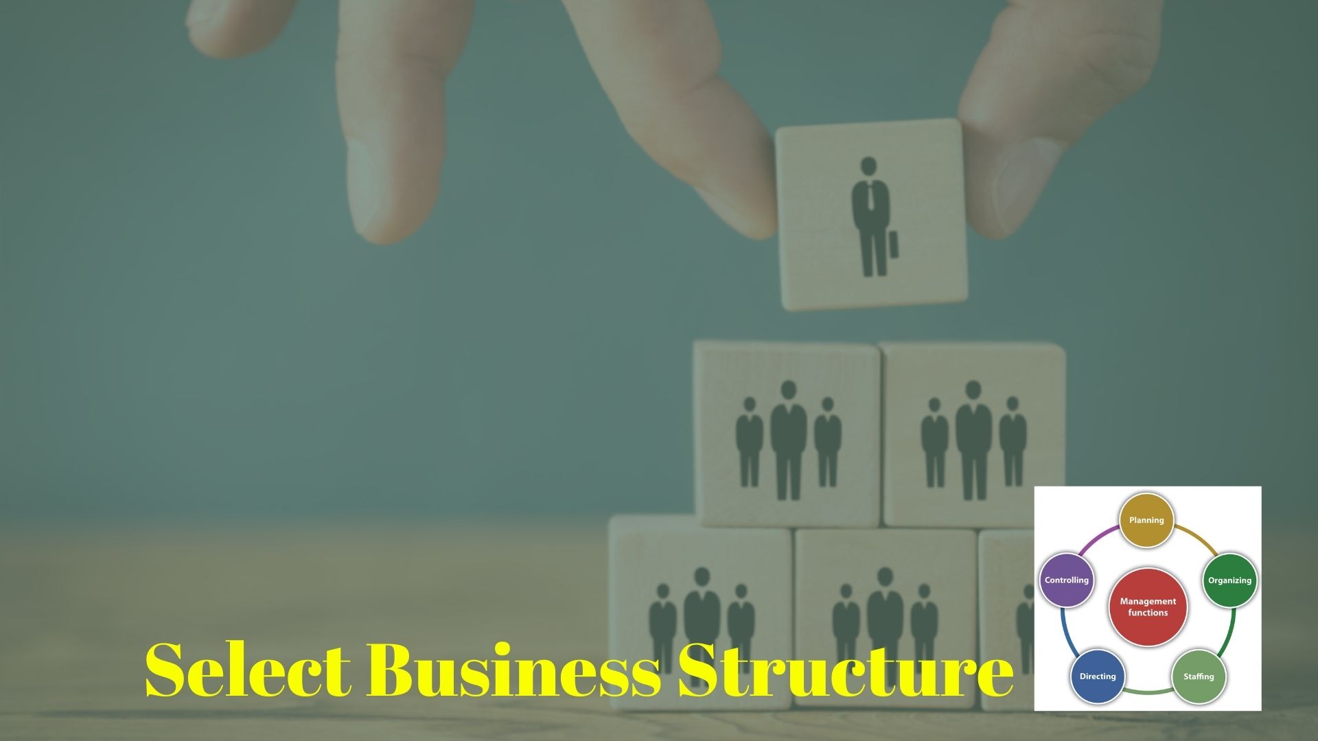 Select the eCommerce Business Structure